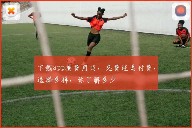 下载app要费用吗，免费还是付费，选择多样，你了解多少